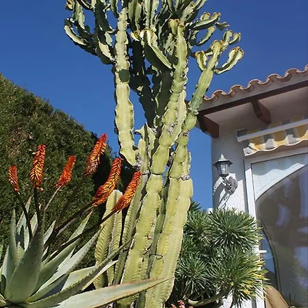 Holiday home Casa Dina - Ferienhaus Fur 4 Personen Mit Grossem Gemeinschaftspool